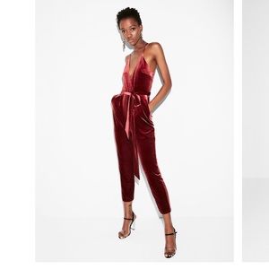 EXPRESS Velvet Jumpsuit